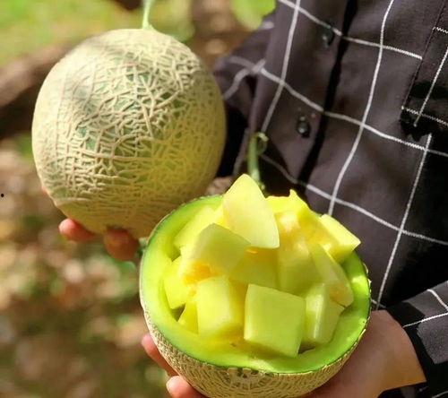 娱乐吃瓜甜,揭秘明星们的甜蜜生活 第1张 娱乐吃瓜甜,揭秘明星们的甜蜜生活 第1张